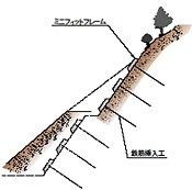 参考断面図