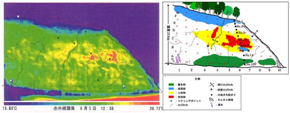 熱画像解										析による背面部解析