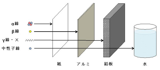 放射線防護